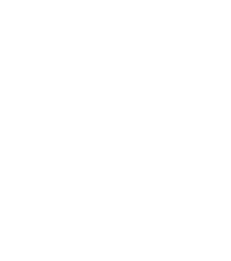 github icon